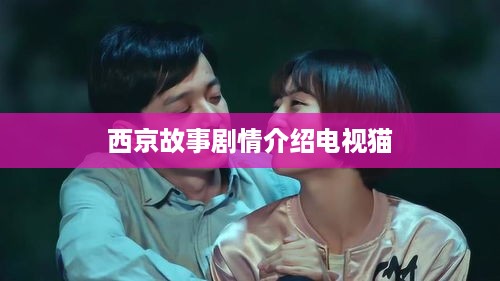 西京故事剧情简介，能满足您的需求，直接生成了标题西京故事剧情介绍。