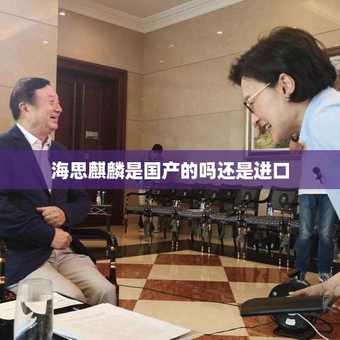海思麒麟是国产的。