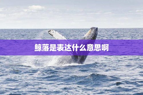 鲸落的寓意与意义