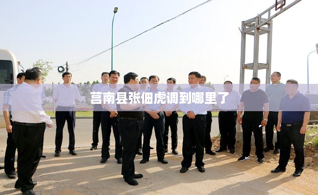 莒南县张佃虎的调任去向