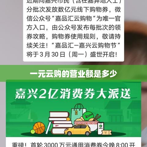 一元云购的营业额，无法直接得知具体营业额。
