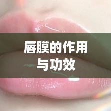 唇膜的作用与功效