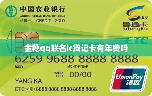 金穗QQ联名IC贷记卡年费情况