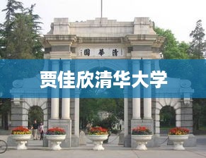 贾佳欣，清华学子的风采