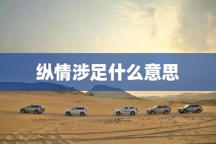 纵情涉足的含义