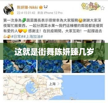 陈妍臻在这就是街舞中的年龄为标题，，陈妍臻在这就是街舞中的年龄揭秘