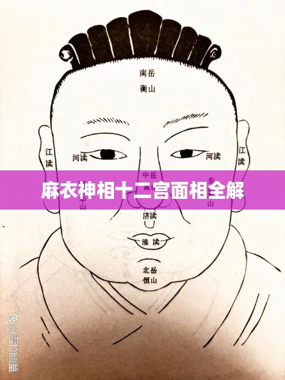 麻衣神相十二宫面相解析全攻略
