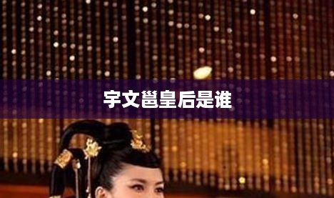 宇文邕的皇后是阿史那皇后。