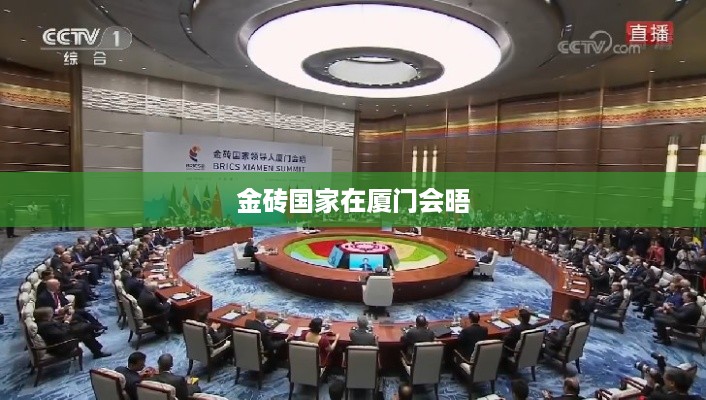 金砖国家厦门峰会  第1张