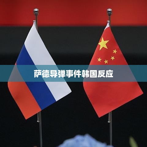 萨德导弹事件，韩国的反应与态度