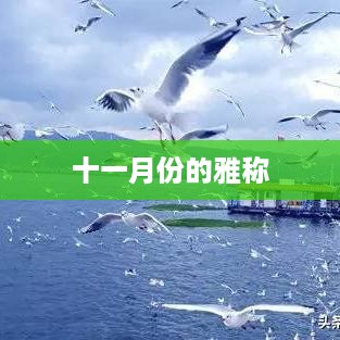 十一月份的雅称是冬月。