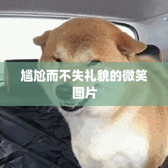 尴尬不失礼的微笑表情图片