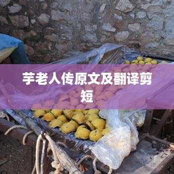 芋老人传原文及简短翻译标题，，芋老人传原文简译版，由于篇幅限制，我无法直接生成完整的芋老人传原文及详细翻译。上述标题仅为芋老人传原文简译版的概括，如需获取详细内容，建议查阅相关文献或在线资源。