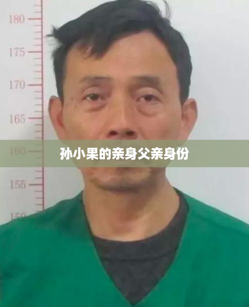 孙小果的亲身父亲是孙鹤元。