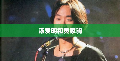 汤爱明与黄家驹，音乐传奇人物的故事