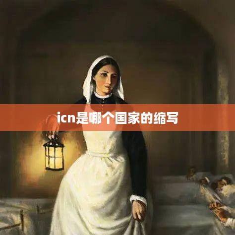 ICN是印度尼西亚国家航空公司的缩写。