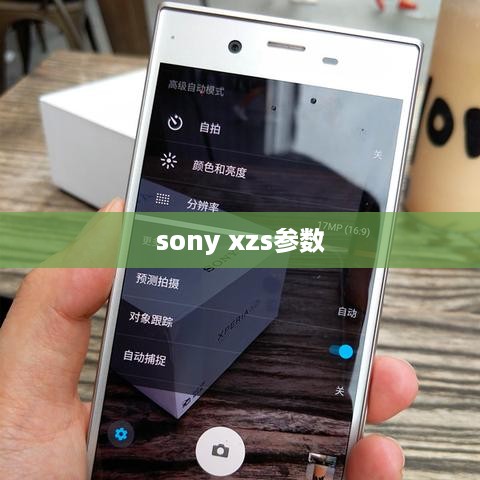 索尼XZS参数详解