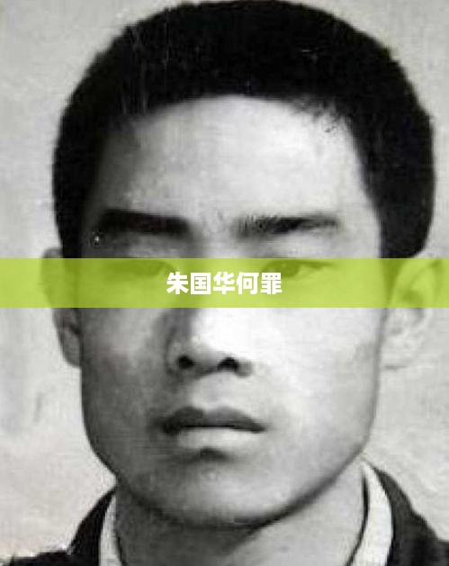 朱国华的罪行，朱国华何罪？