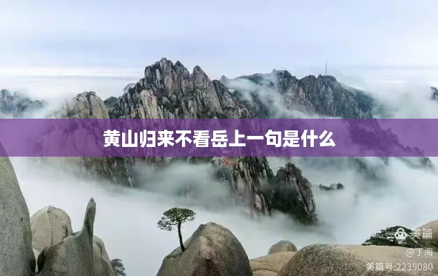 上一句是五岳归来不看山。