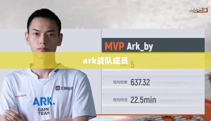 ARK战队成员一览