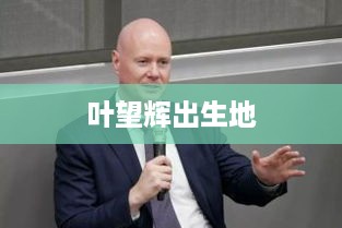 叶望辉的出生地是湖南省。