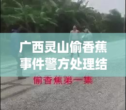 广西灵山偷香蕉事件警方处理结果公布