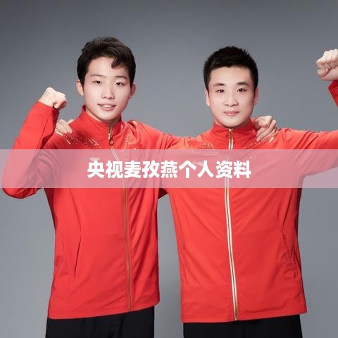 央视主持人麦孜燕个人资料  第1张