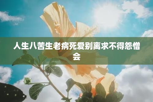 人生八苦，生老病死与情感纠葛的痛苦