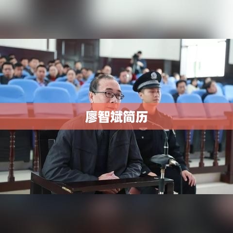 廖智斌的简历