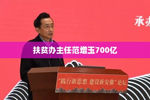 范增玉扶贫办主任，700亿的扶贫大业  第1张