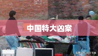 中国特大凶案，揭秘背后的真相