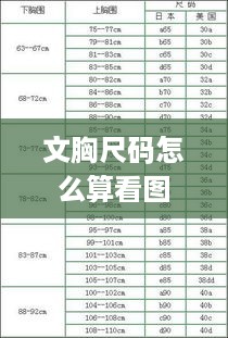 文胸尺码计算图解详解