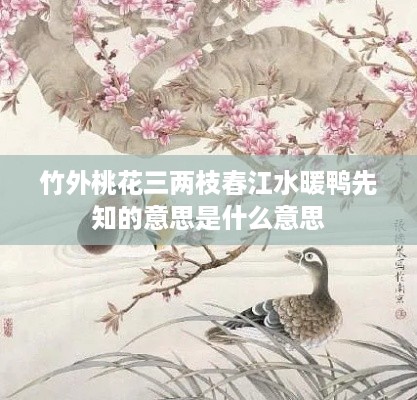 桃花春江水暖，鸭先知——诗意解读