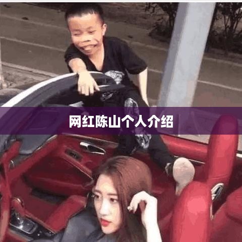 网红陈山个人简介