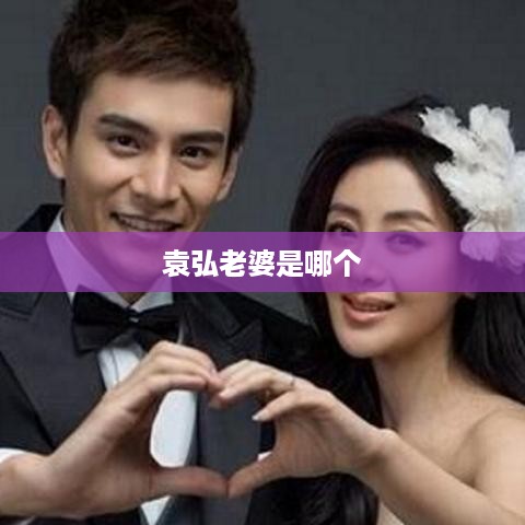 袁弘的老婆是张歆艺。