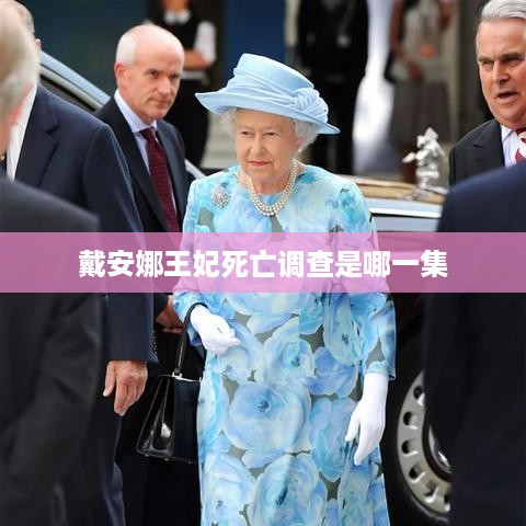 戴安娜王妃死亡调查相关内容在纪录片或相关影视作品中可能是某一集的专题。因此，一个可能的标题是，，戴安娜王妃死亡调查专集，请注意，具体的标题可能因不同的影视作品而有所不同，上述标题仅供参考。