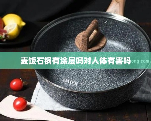 麦饭石锅的涂层及其对人体影响标题建议。