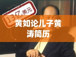 黄如论之子黄涛的简历