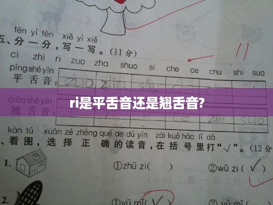 ri音，平舌音还是翘舌音？