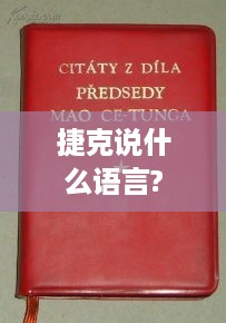 捷克主要说捷克语。
