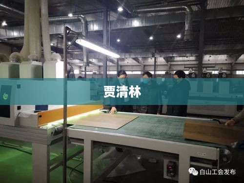 贾清林，一位独特的艺术大师