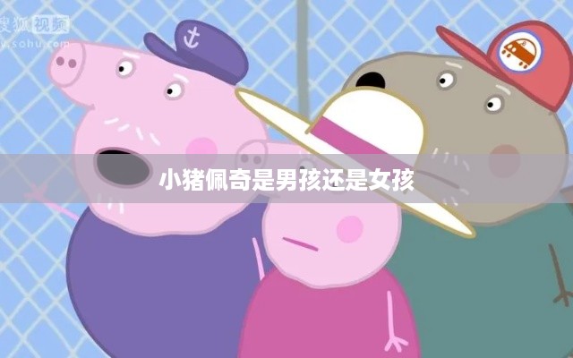 小猪佩奇是女孩。