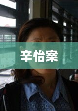 辛怡案，一宗引人关注的法律事件