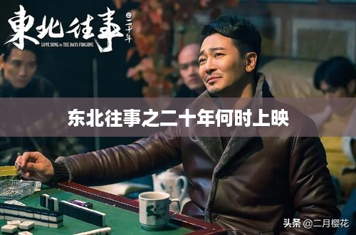 东北往事之二十年上映时间