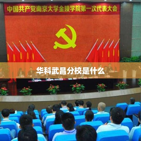 华科武昌分校，武汉科技大学武昌分校简介