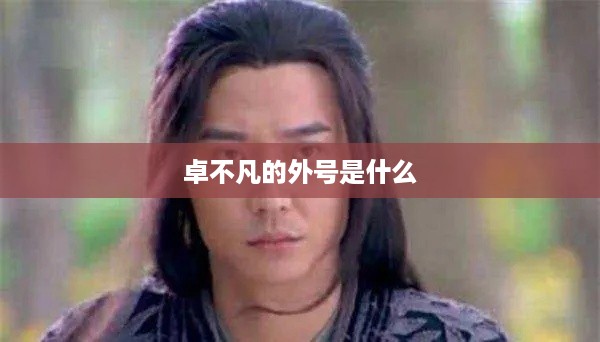 卓不凡的外号，无边风雪剑客。