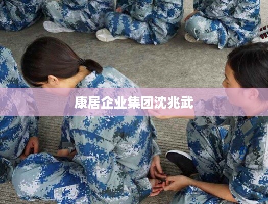 康居企业集团，沈兆武的领导之路