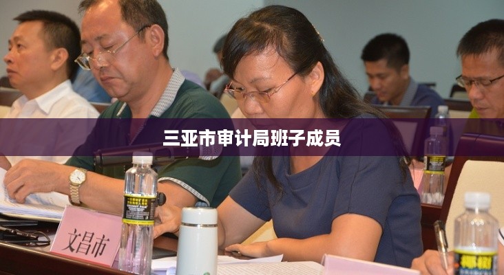 三亚市审计局班子成员