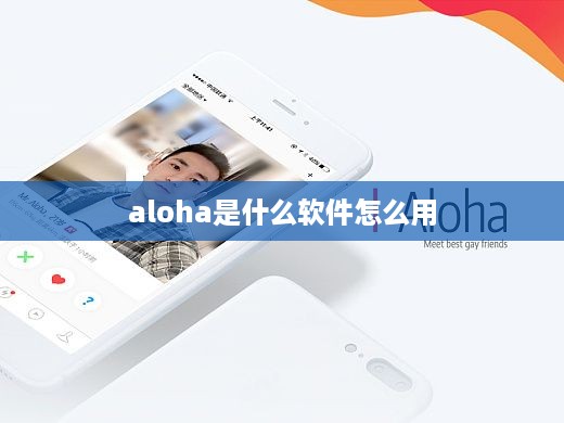 Aloha软件使用指南