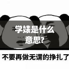学婊的含义解析